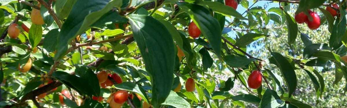 Singlereis Macedonië & Thessaloniki