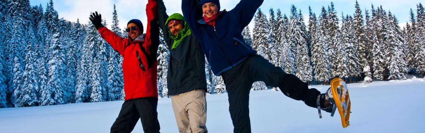 Singlereis Wintersport Salzburgerland, Oostenrijk