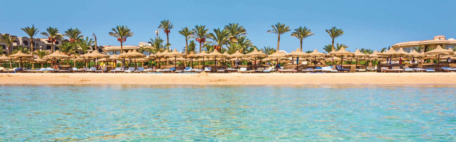Singlereis Egypte